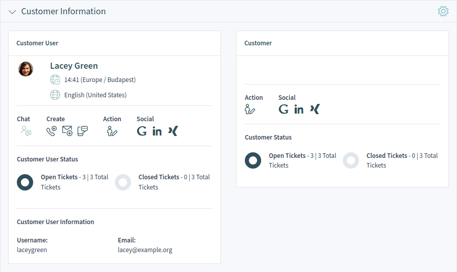 Customer Information Widget