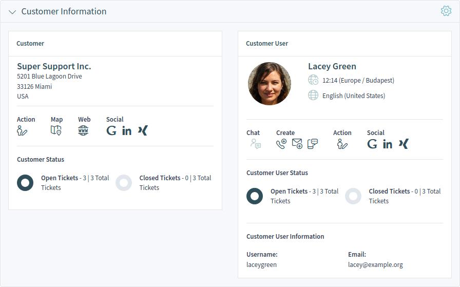 Customer Information Widget